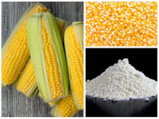 Corn and Products
